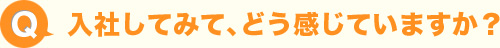 入社してみて、どう感じていますか？